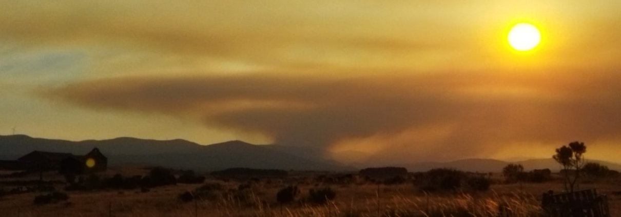Sierra de Gistredo (León), agosto de 2025