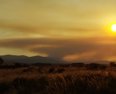 Sierra de Gistredo (León), agosto de 2025