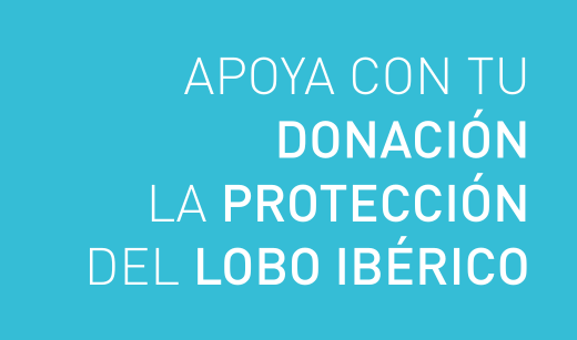Protección del lobo ibérico