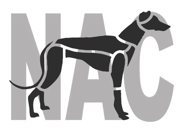 Plataforma NAC