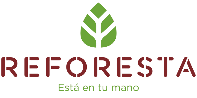 Reforesta